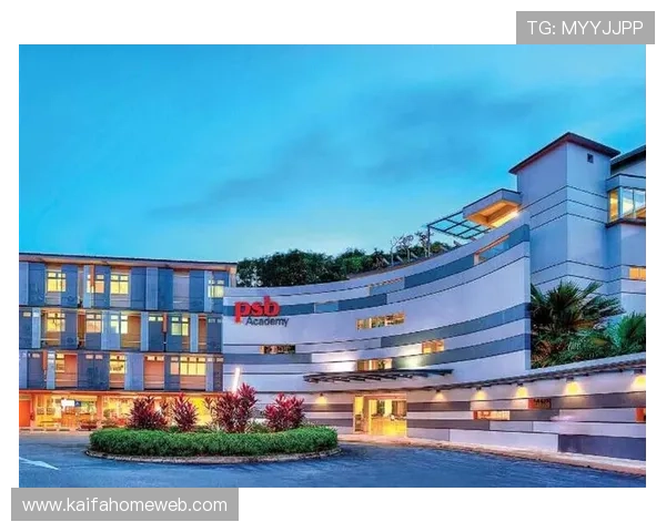 新加坡凯发官网提供最新游戏资讯与优质服务全面解析